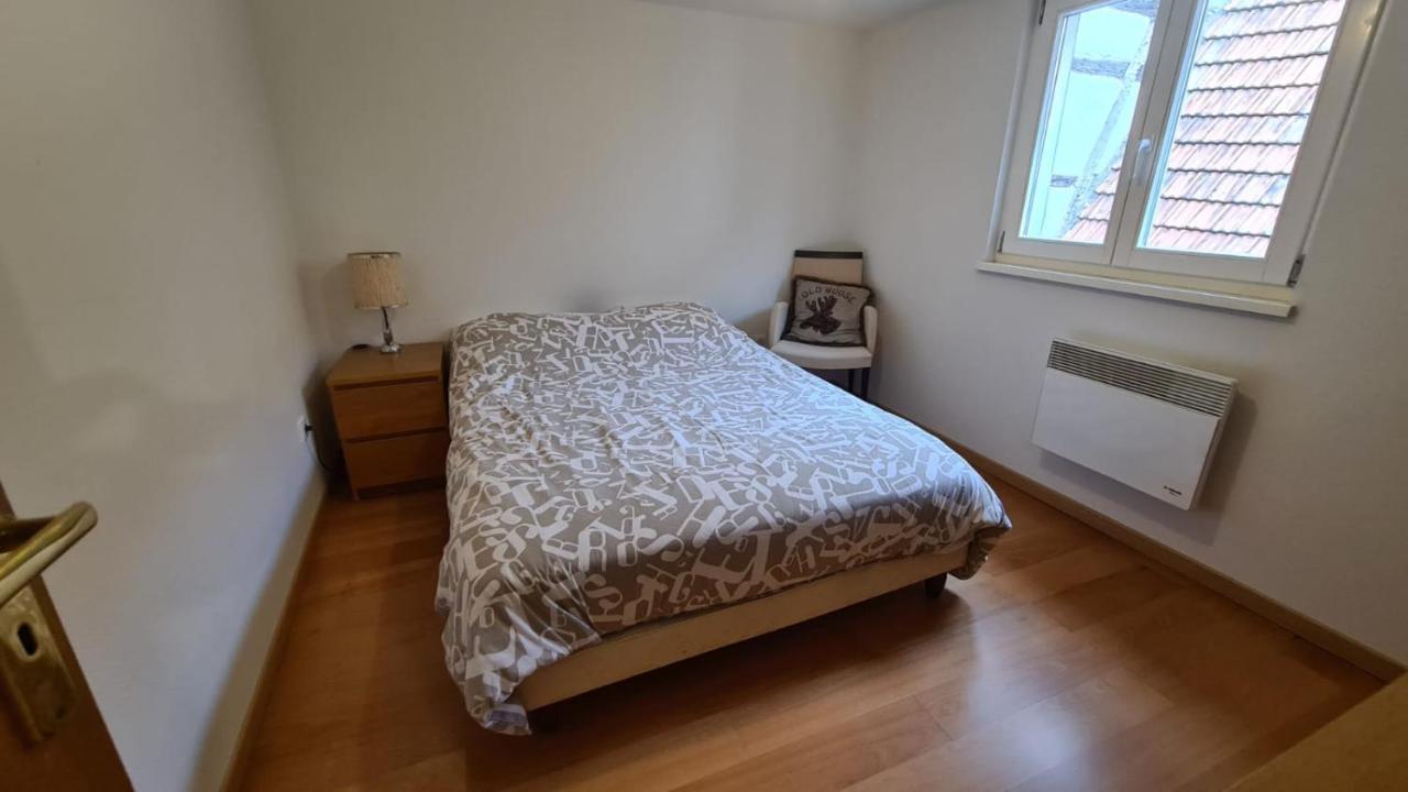 Apartamento Le Bonheur Est Parfois Cache Dans L'Inconnu Sélestat Exterior foto