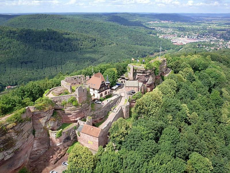 Apartamento Le Bonheur Est Parfois Cache Dans L'Inconnu Sélestat Exterior foto
